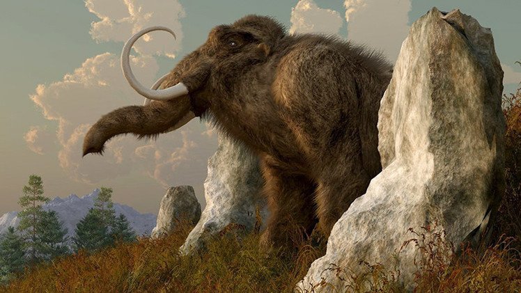 Descifran por primera vez en la historia el genoma del mamut