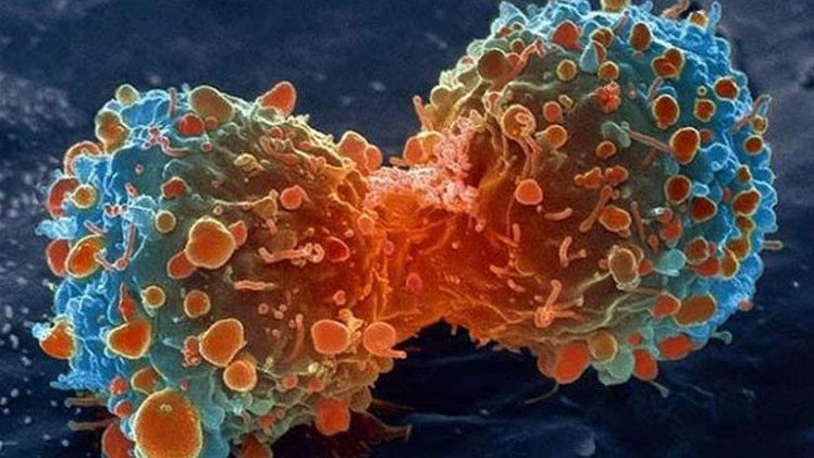 Avance científico: Colorante natural muestra su eficacia para combatir el cáncer