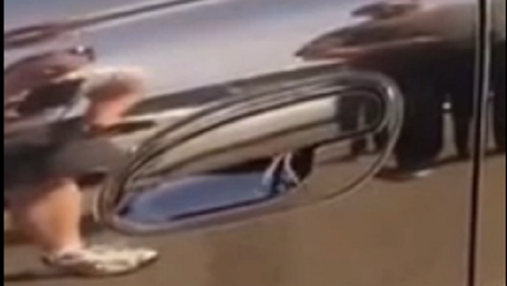 Hora de cambiar de coche: araña anida en la puerta de un auto