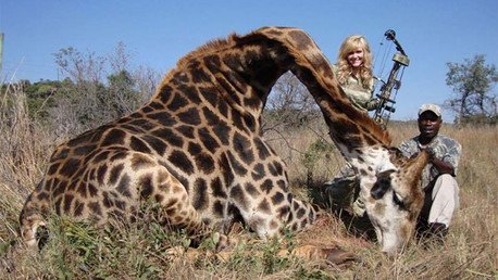 La foto de una cazadora sonriendo junto a una jirafa muerta desata polémica
