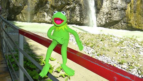 Descubren en Costa Rica a una rana muy parecida a la del 'Show de los Muppets'