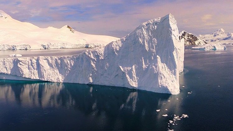 Ballenas e hielos azules de la Antártida: impresionante video realizado con un dron