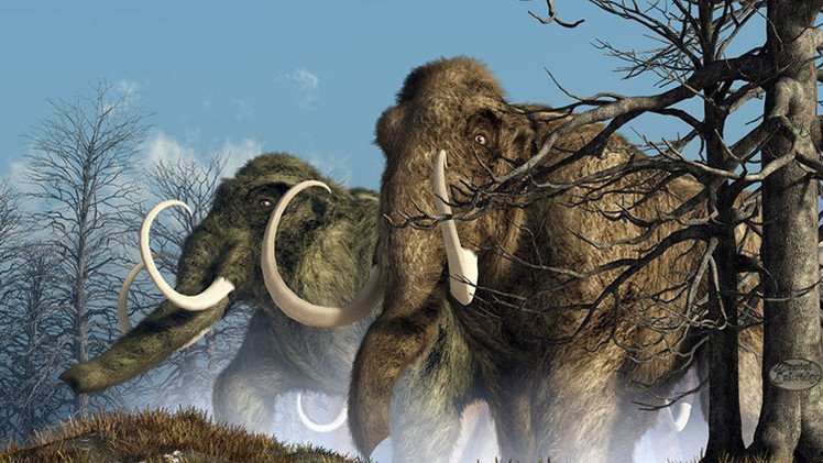 ¿Un Parque Jurásico real?: Científicos podrían revivir a los mamuts en Siberia