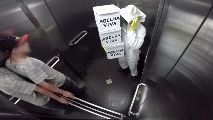 La pesada broma de las abejas en el ascensor aterra a los brasileños