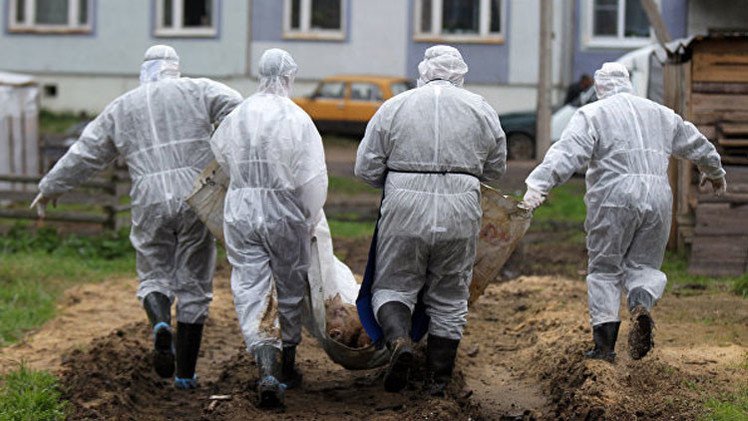 Periodista: "El Pentágono crea laboratorios biológicos secretos en Ucrania"