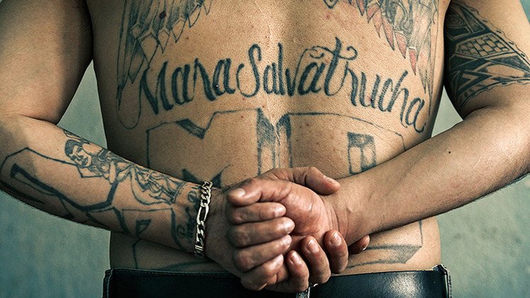 Cuál es el significado oculto en los tatuajes de la Mara Salvatrucha?  Las  autoridades se han dedicado a investigar el significado de los tatuajes de  diversas bandas criminales, como la Mara