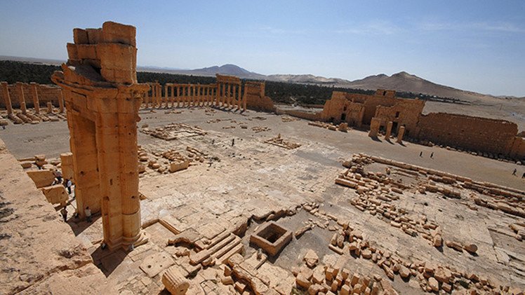 "La destrucción de Palmira sería una gran pérdida para toda la humanidad"