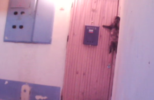 Mientras tanto en Rusia: un gato llama al timbre para entrar
