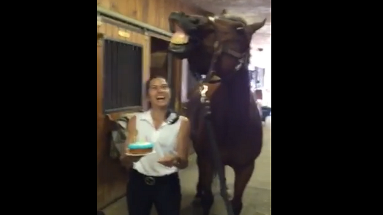 El caballo que sorprendió soplando las velas de su cumpleaños