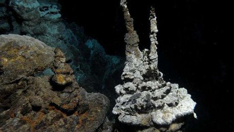 Científicos: Descubren un eslabón perdido en la evolución
