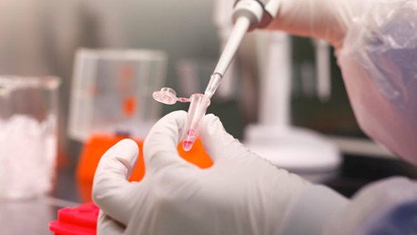 Las 'bellas durmientes' de la ciencia, estudios adelantados que 'hibernan' durante décadas