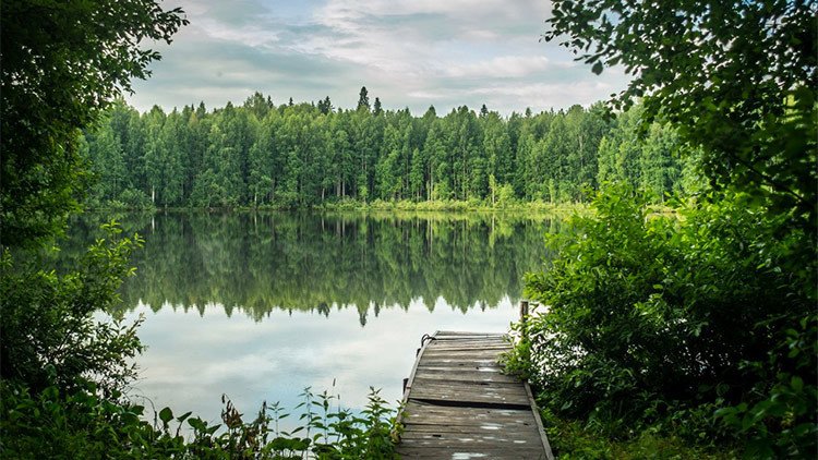 Las extrañas islas que se desplazan sobre un lago ruso: ¿A qué se debe este fenómeno?