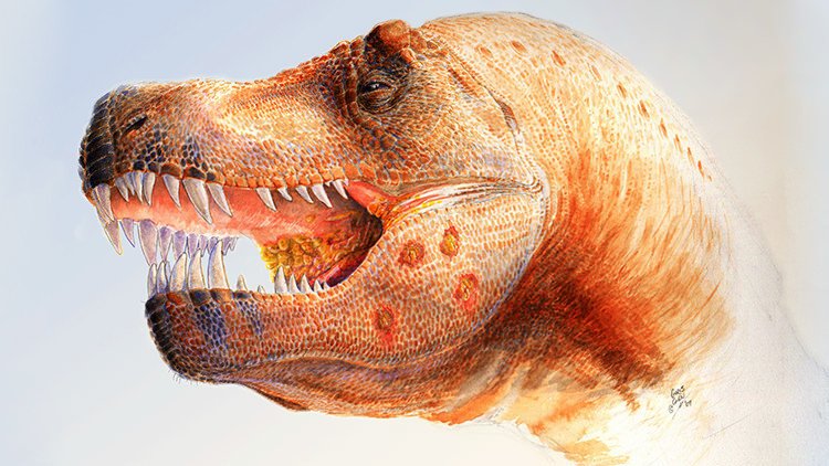 Hallan el fósil de un nuevo dinosaurio jurásico, uno de los más antiguos del mundo