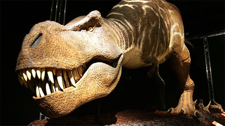 ¿Inmimente resurrección?: Hallan restos de sangre de dinosaurio de hace 75 millones de años