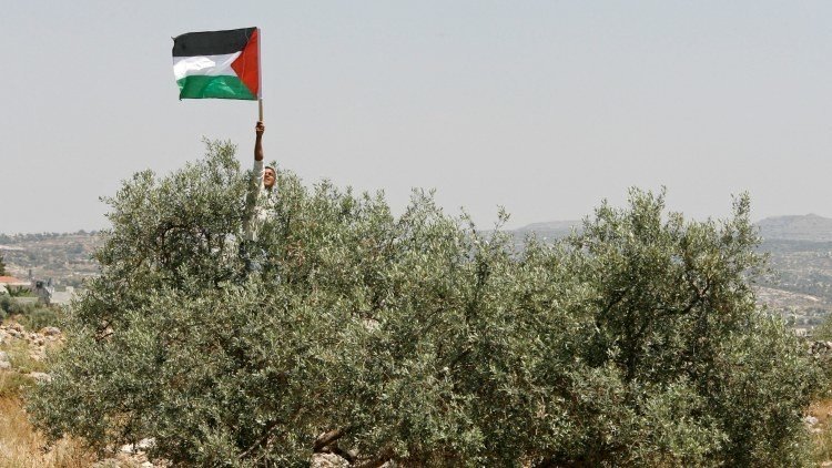 Abbás anuncia que el Parlamento de Palestina será disuelto dentro de 24 horas