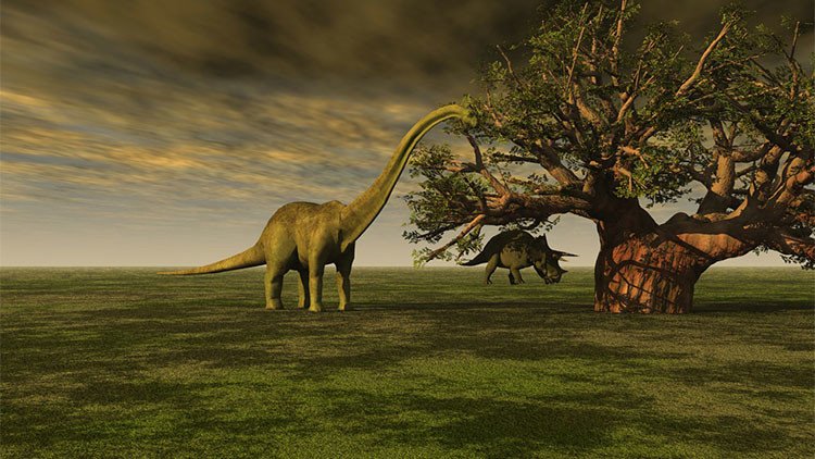 ¿Por qué los dinosaurios evitaron una zona del planeta durante 30 millones de años?
