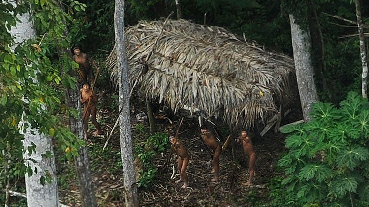 "Contactar con las tribus aisladas del Amazonas es el único modo de salvarlas"
