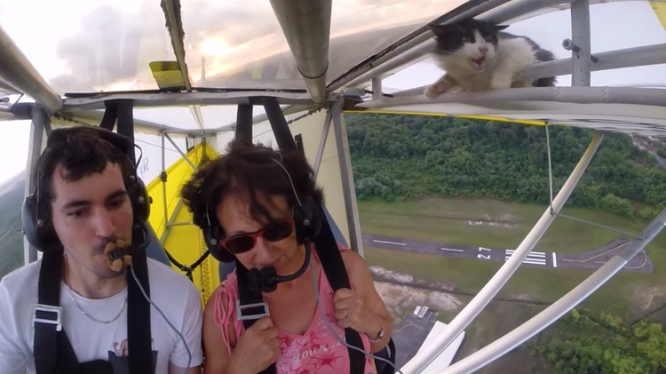 El 'gato volador' reaparece en los cielos de Francia