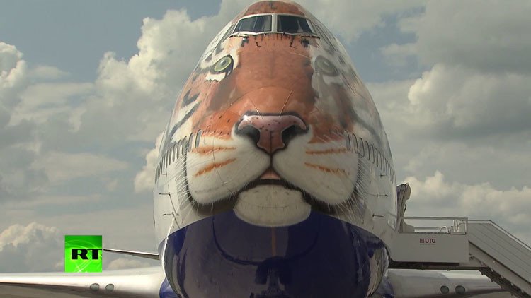 'Tigreavión': una aerolínea rusa decora un avión como un tigre para salvarlo de la extinción