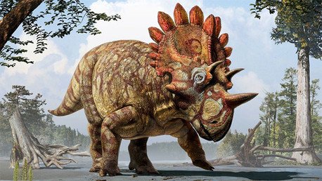 La ciencia bautiza a 'Hellboy', un nuevo dinosaurio con una 'corona' espectacular