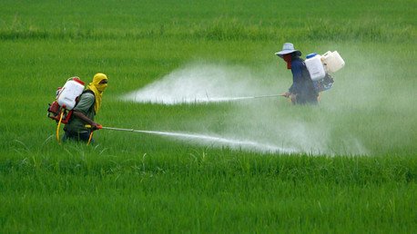 La OMS confirma que uno de los pesticidas más usados puede causar cáncer