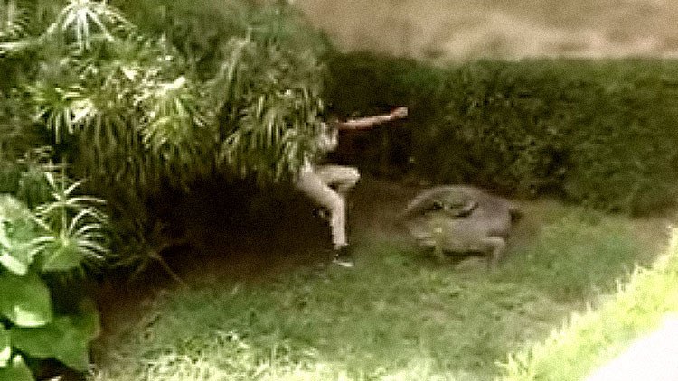 Una adolescente mexicana salta al recinto de los cocodrilos de un zoo