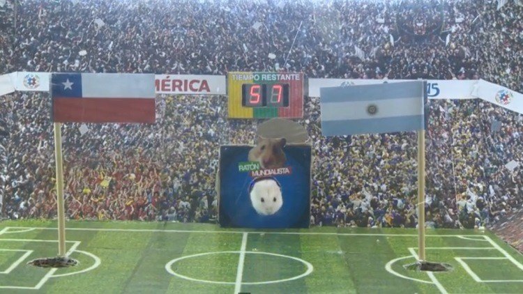 El ratón mundialista predice al ganador de la Copa América