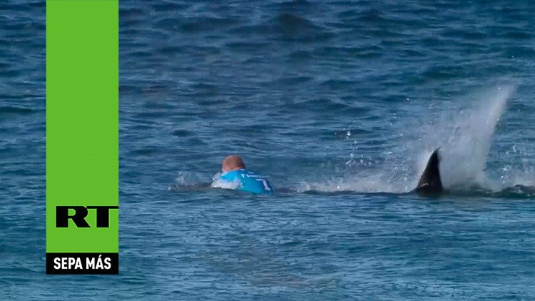 Triple campeón mundial de surf es atacado por un tiburón en pleno torneo