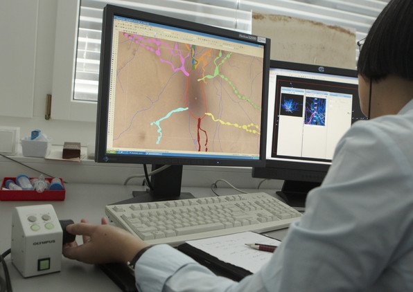 Un científico mexicano crea una neurona digital para estudiar el sistema nervioso