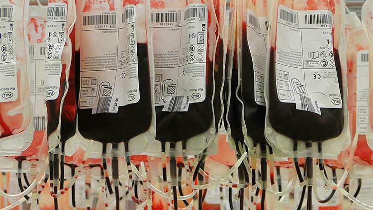 ¿Pagar con sangre un concierto?: Lanzan un experimento en las tierras de 'Drácula'