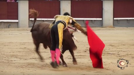Un novillero español sobrevive tras recibir una brutal cornada 