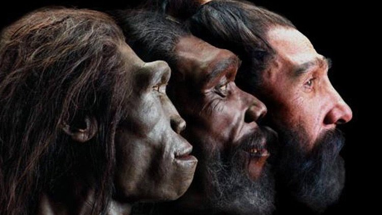 Científicos españoles descubren cuándo apareció el rostro humano