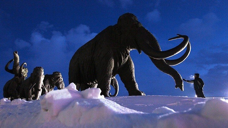 ¿Qué exterminó a los mamuts?: El homo sapiens, bajo seria sospecha