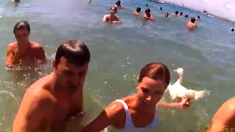 Una mujer usa un pato vivo como arma arrojadiza para agredir a un activista