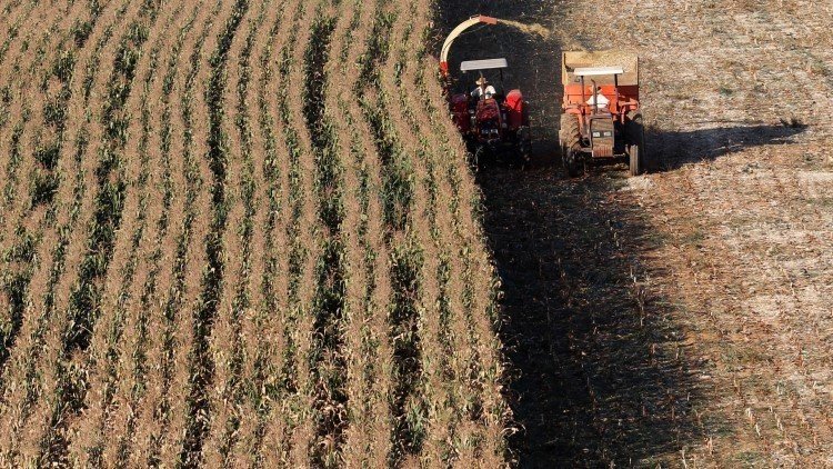 África y América Latina se perfilan como líderes en agricultura en los próximos 10 años