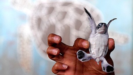7 días en las más impresionantes fotografías
