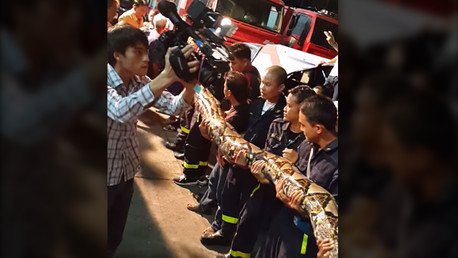 Una pitón gigante de 8 metros aparece en un restaurante en Bangkok  