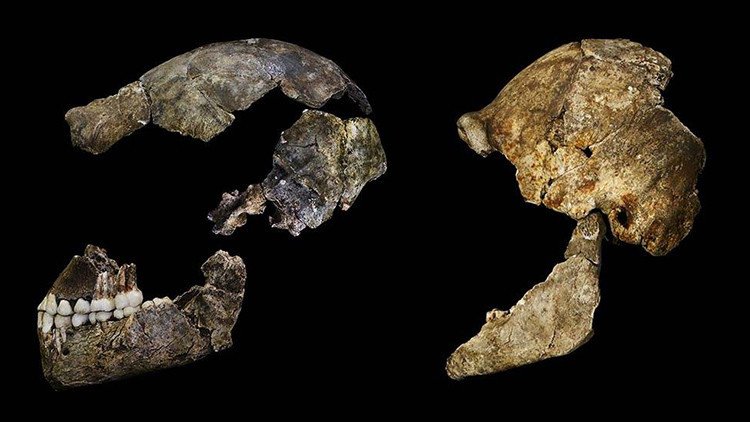 Conozca al Homo naledi, el último miembro de la familia humana