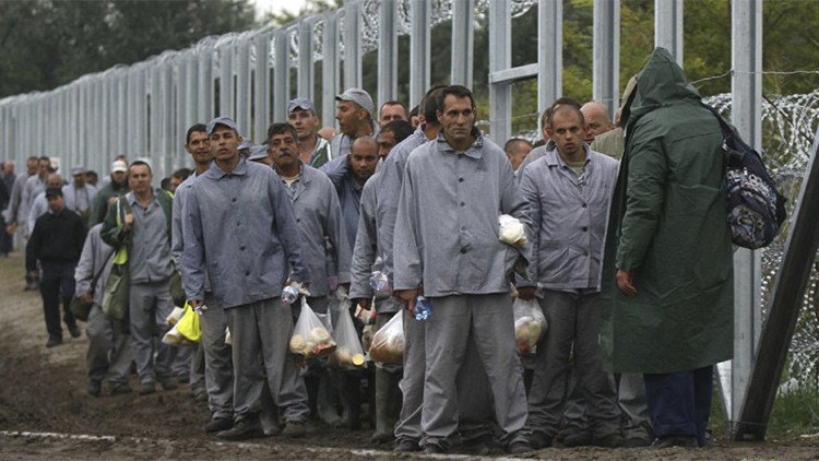 Videos: Prisioneros húngaros construyen aprisa la valla para contener el flujo migratorio