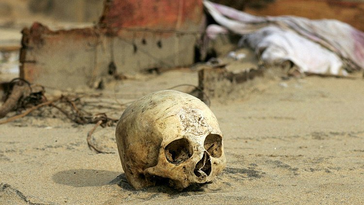 Un experimento de un cuarto del siglo revela las principales causas de muerte en el planeta