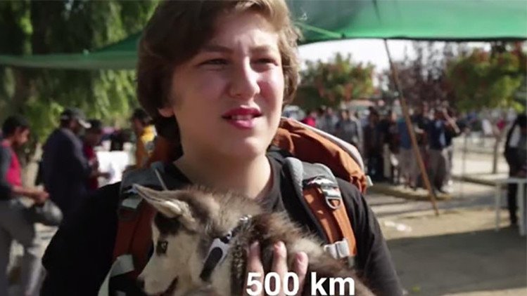 Video: un joven refugiado sirio recorre 500 km con su perro para llegar a Europa