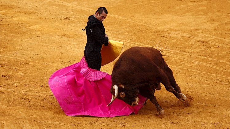 ¿Arte o crueldad?: dejan parapléjico a un toro en plena corrida