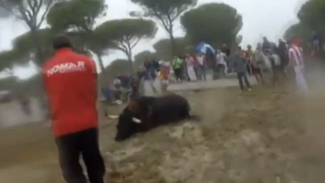 Así fue como mataron al Toro de la Vega