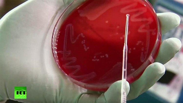 Un científico ruso se siente más fuerte y sano tras inyectarse la bacteria de 'la vida eterna'