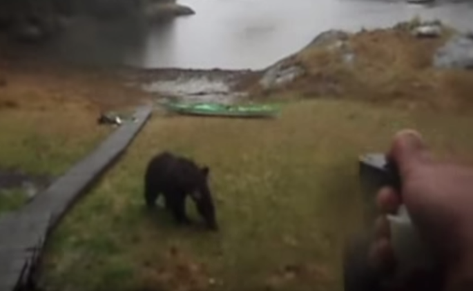 ¡Oye, no te comas mi kayak!: una joven le ruega a un oso que empiece a hibernar