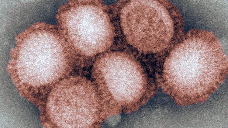 En 2017 regresará la gripe mortal que causó dos millones de muertos el siglo pasado