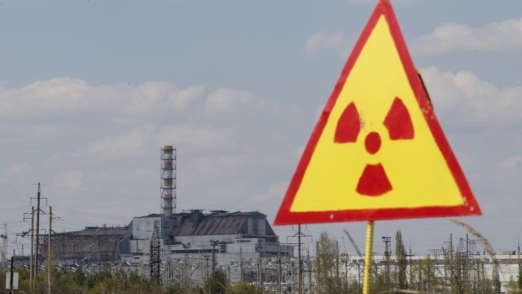 La zona de exclusión de Chernóbil se convierte en un 'paraíso' para la fauna silvestre