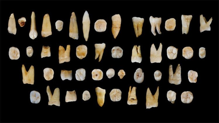 Nuevos fósiles demuestran que el 'Homo sapiens' llegó a Asia hace 100.000 años