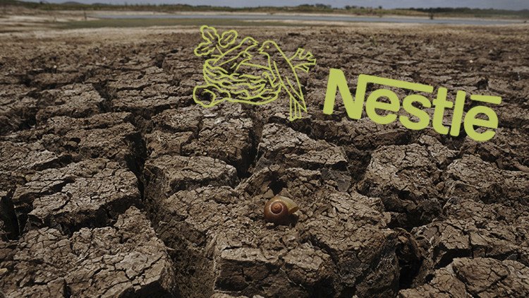 Activistas demandarán a Nestlé por la sequía de California