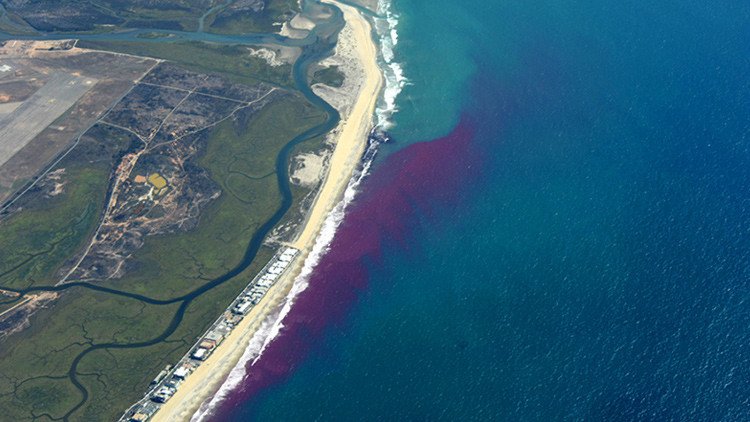 Descubra por qué científicos de EE.UU. tiñeron el océano de rosa 